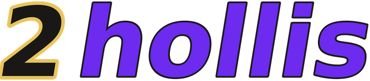 2hollis logo
